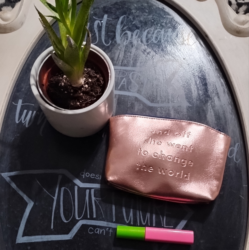 ❤️FREE WITH PURCHASE❤️Cosmetics Bag